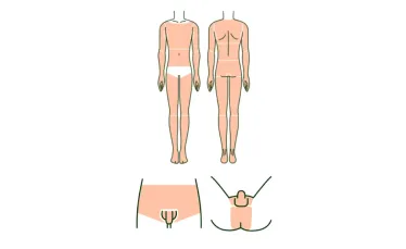 メンズルシアクリニックの脱毛箇所イメージ画像