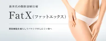 脂肪溶解注射:FatX(ファットエックス)イメージ画像